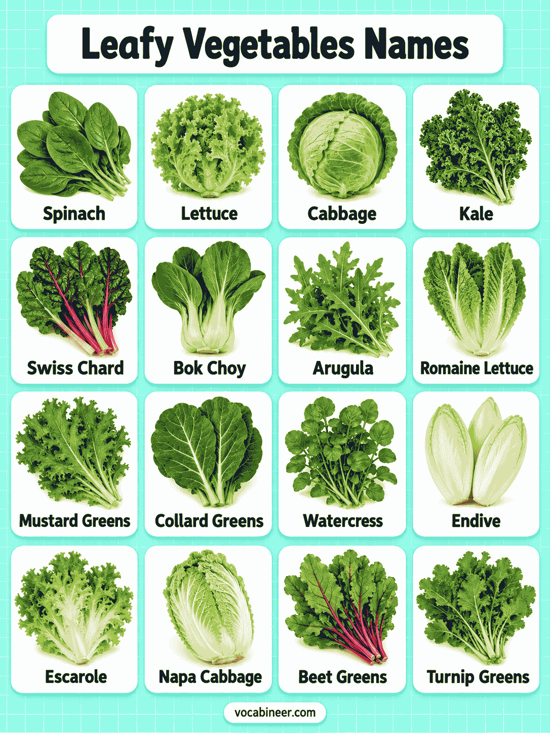 Leafy Greens List: 36 Names With Pictures