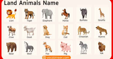 List of 100 Land Animals Name in English with Pictures
