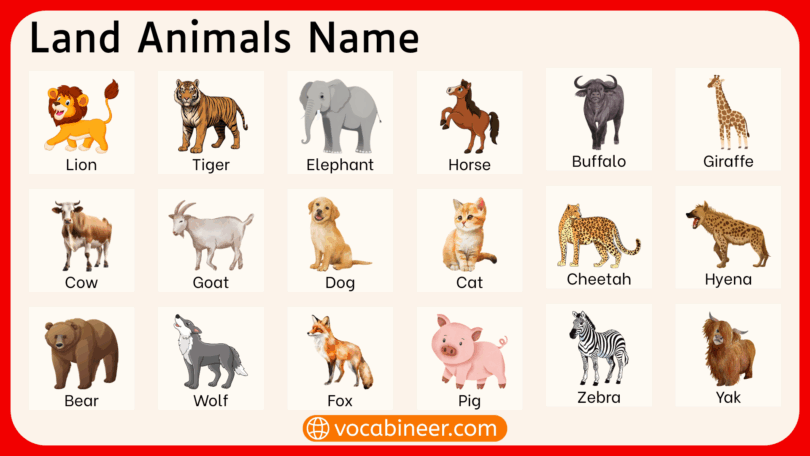 List of 100 Land Animals Name in English with Pictures