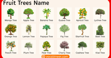 List of 50 Fruit Trees Name in English with Pictures