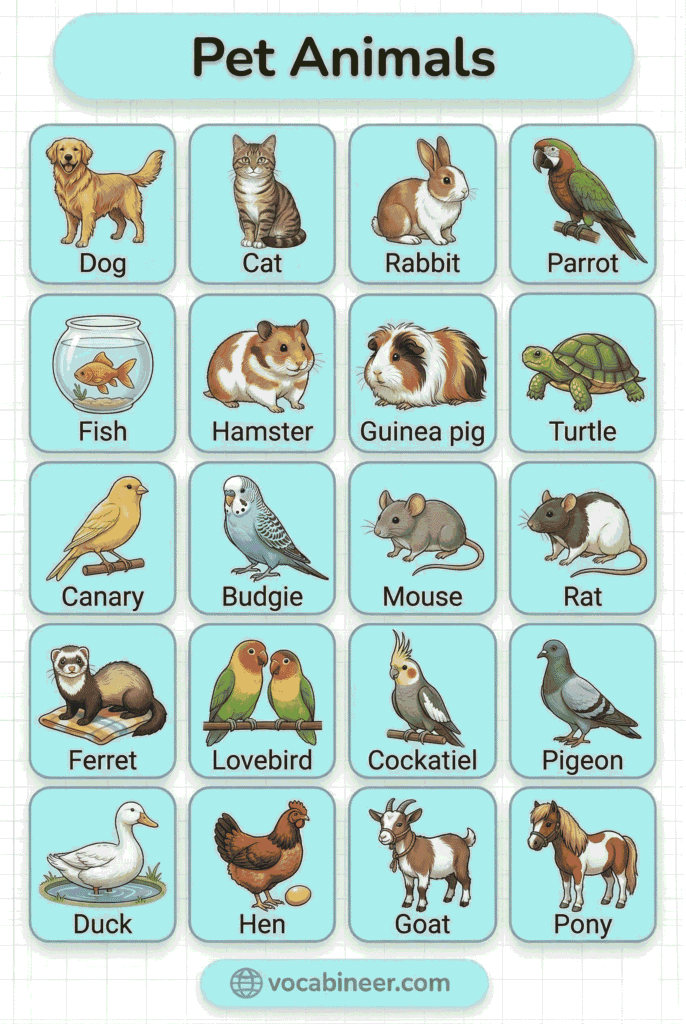 List of Common Pet Animals Names in English With Pictures (ESL Chart)