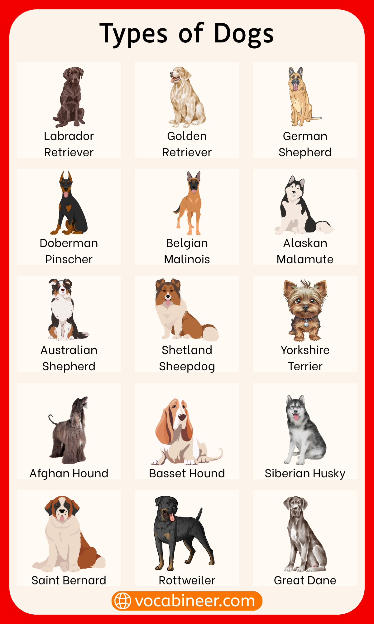 List of Dog Names in English with Pictures