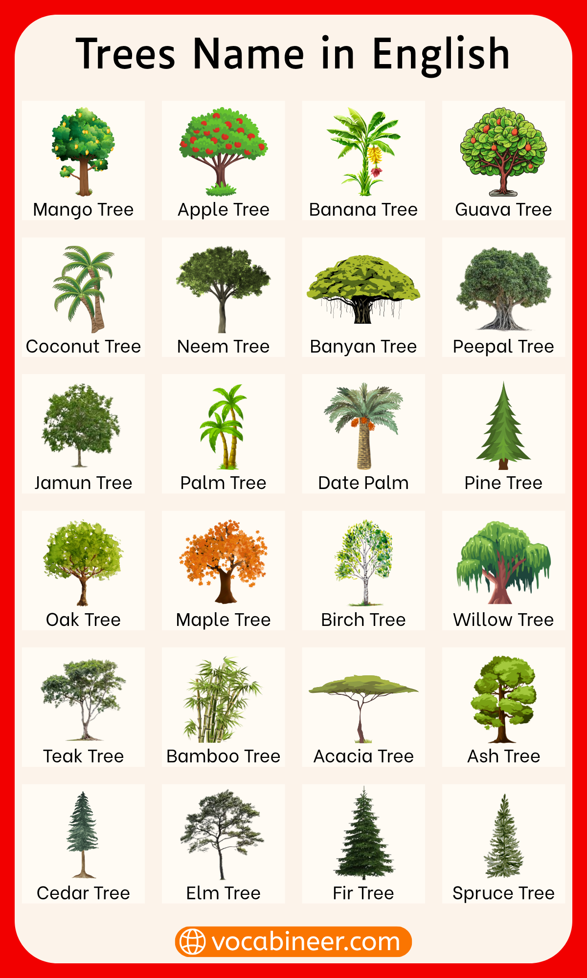 List of trees names with pictures and types