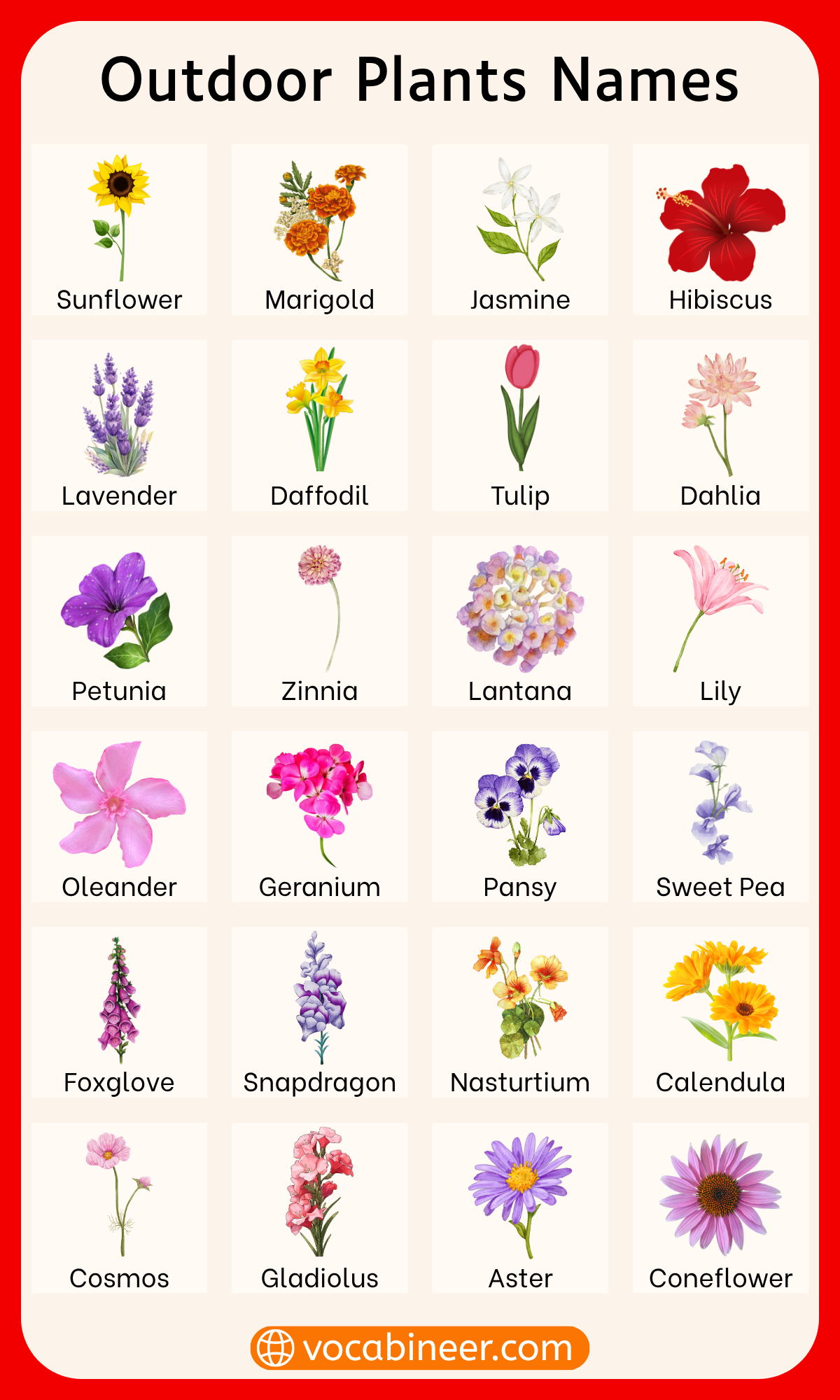 List of outdoor plants names with pictures and types