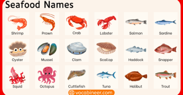Seafood Names List in English with Pictures