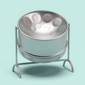 Steel Drum