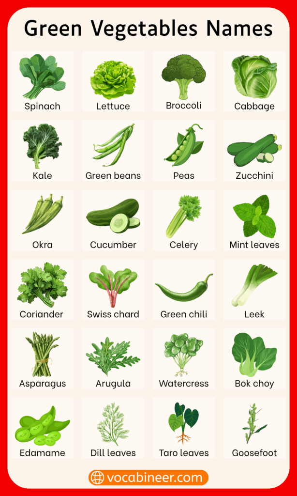Types of Green Vegetables in English