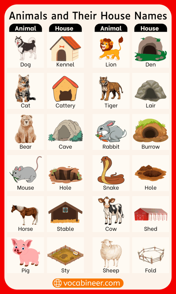 100 Names of Animals Homes in English with Pictures