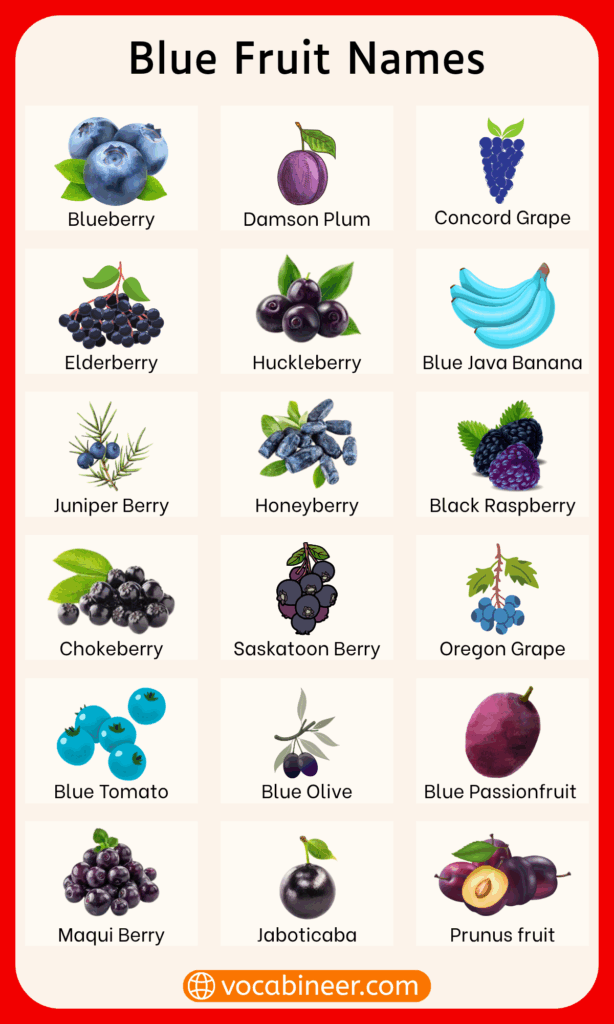 List of 20 Common Blue Fruits Names in English