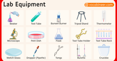 50 Lab Equipment Names List and their Pictures