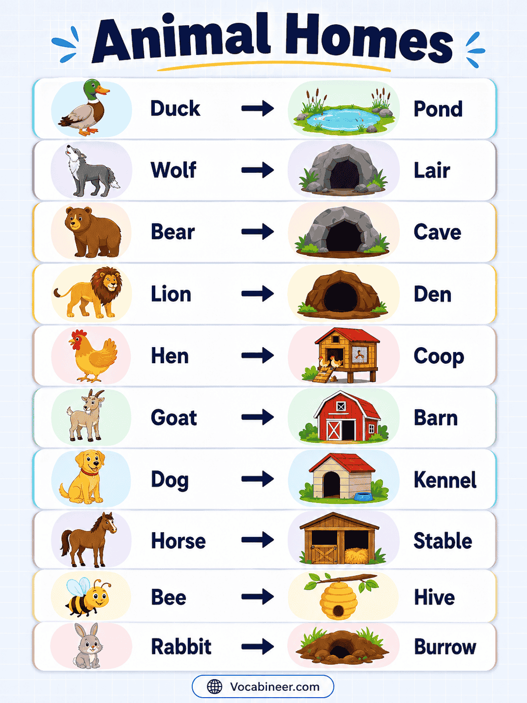 Animal homes names with pictures, including kennel, stable, nest, hive, burrow, cave, coop, sty, web, anthill, and aquarium.