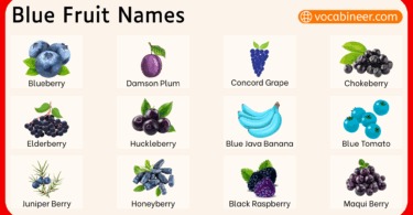 Blue Fruits Names in English with Their Pictures
