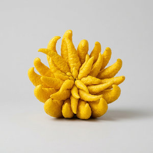Buddha’s Hand