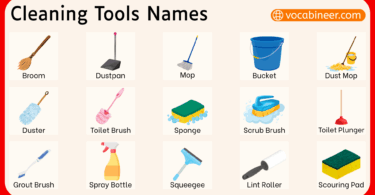 Cleaning Tools Names in English with Pictures
