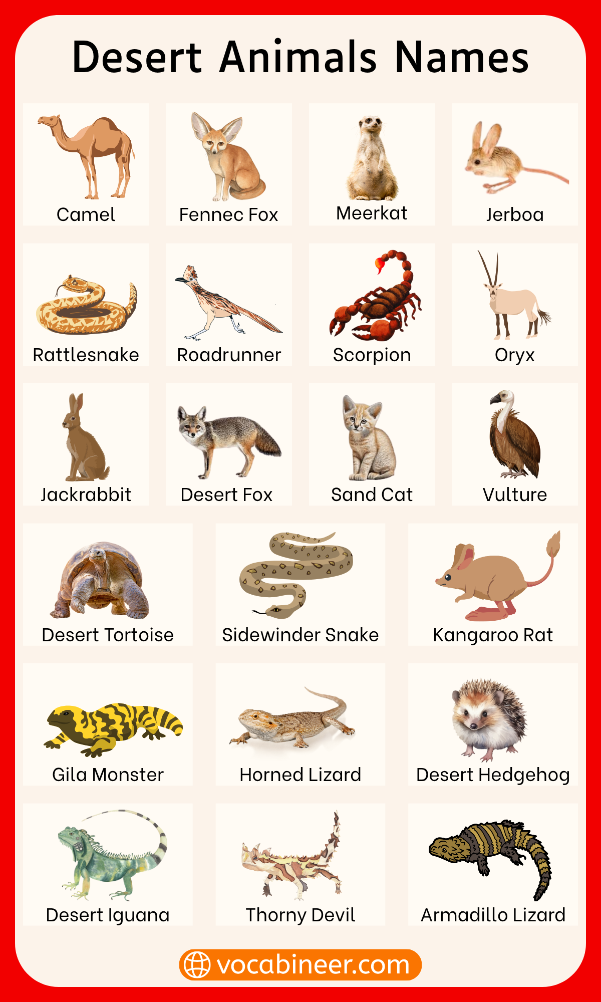 Desert animals names in English with labeled pictures for ESL learners