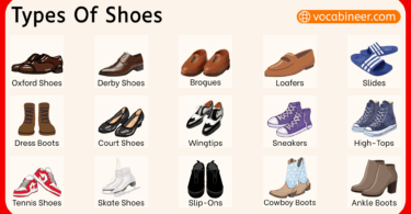 Different Types of Shoes with Names and Pictures