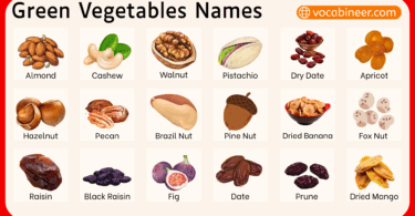 Dry Fruits Names in English with Pictures