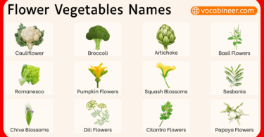 Flower Vegetables Names in English with their Pictures