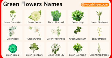 Green Flowers Names and their Pictures