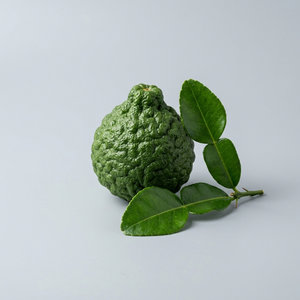 Kaffir Lime