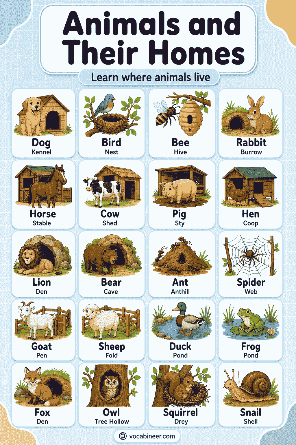 100+ Animals and Their Homes Names with Pictures