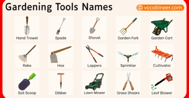 List of Gardening Tools Names with Pictures