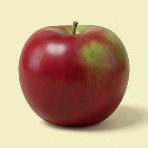 McIntosh Apple