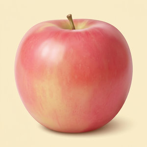 Pink Lady Apple 