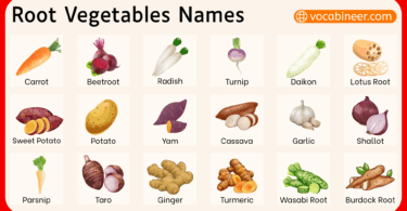 Root Vegetables Names in English with Pictures