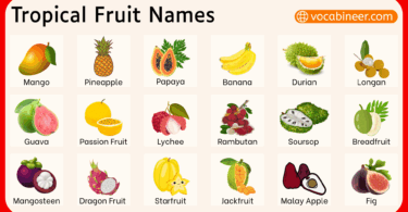 Tropical Fruits Names in English with Pictures