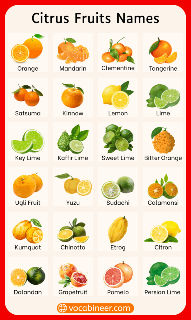 Types citrus fruits names in English