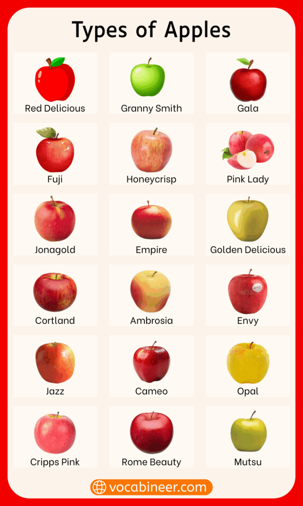 Apples Names in English with images
