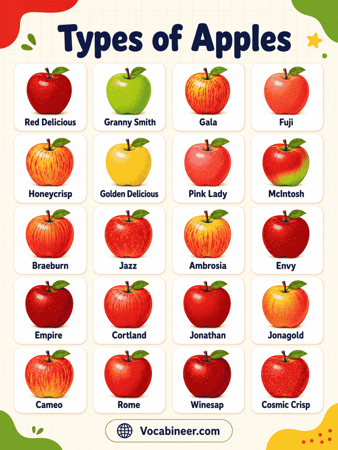 A visual apple chart showing common apple varieties with pictures, including Fuji, Gala, Honeycrisp, Granny Smith, Red Delicious, Golden Delicious, Pink Lady, McIntosh, Braeburn, and Cosmic Crisp.