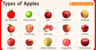 Types of Apples with Their Names and Pictures
