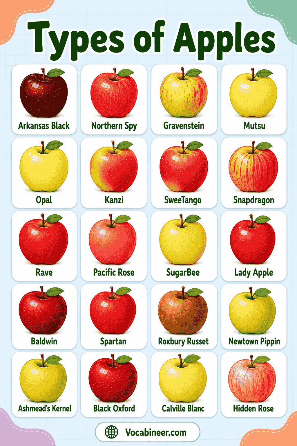 A visual apple variety chart showing common apple types with names, including Fuji, Gala, Honeycrisp, Granny Smith, Red Delicious, Golden Delicious, Pink Lady, McIntosh, Braeburn, and Cosmic Crisp.