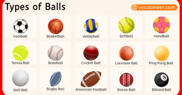 Different Types of Balls Used in Sports with Pictures