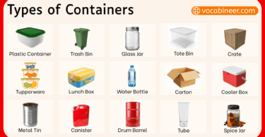 Different Types of Containers in English with Pictures