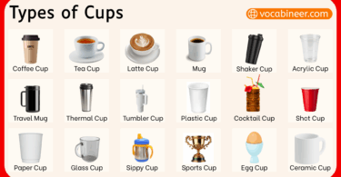 Types of Cups with Names and Pictures