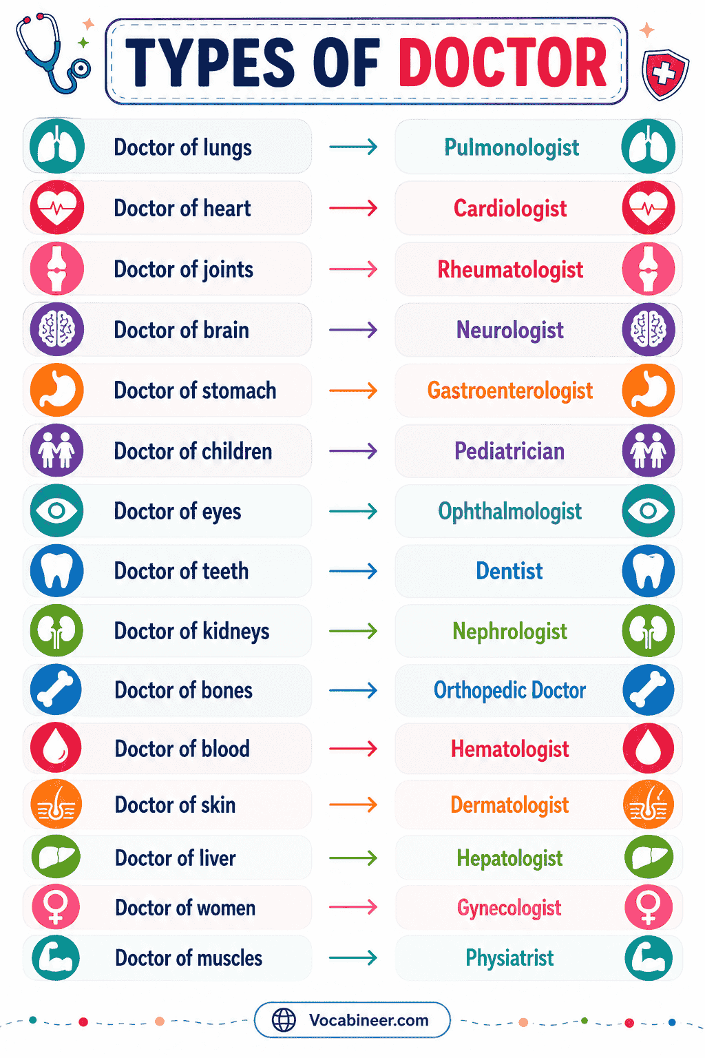 A visual list of different types of doctors names in English with simple meanings for students, patients, and English learners.