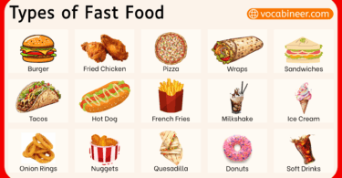 Different Types of Fast Food in English with Pictures