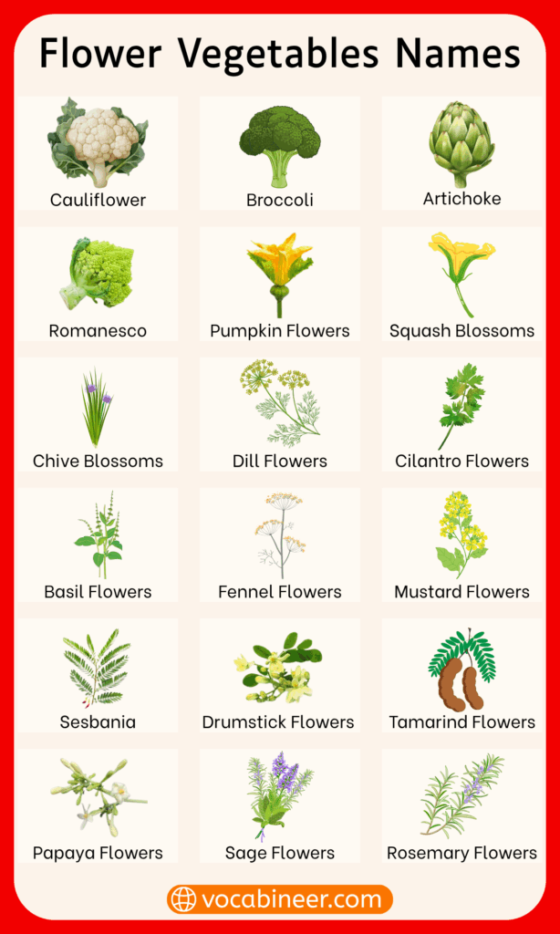 Types of Flower Vegetables - List With Pictures