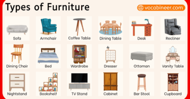 Types of Furniture items Name in English with Pictures