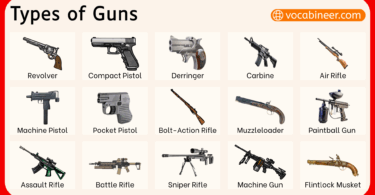 Different Types of Guns with their Pictures