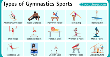 Types of Gymnastics Sports their Names and Pictures