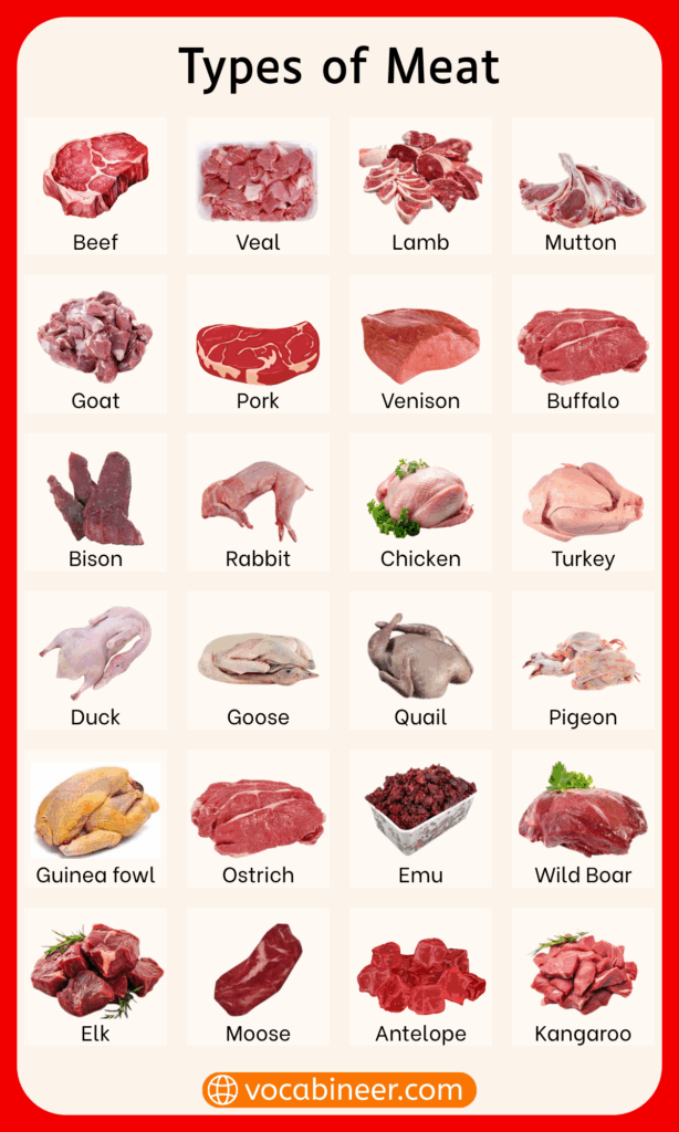 Meat Names and their Types in English