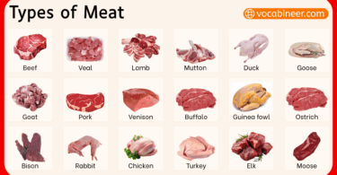 Types of Meat in English with Pictures