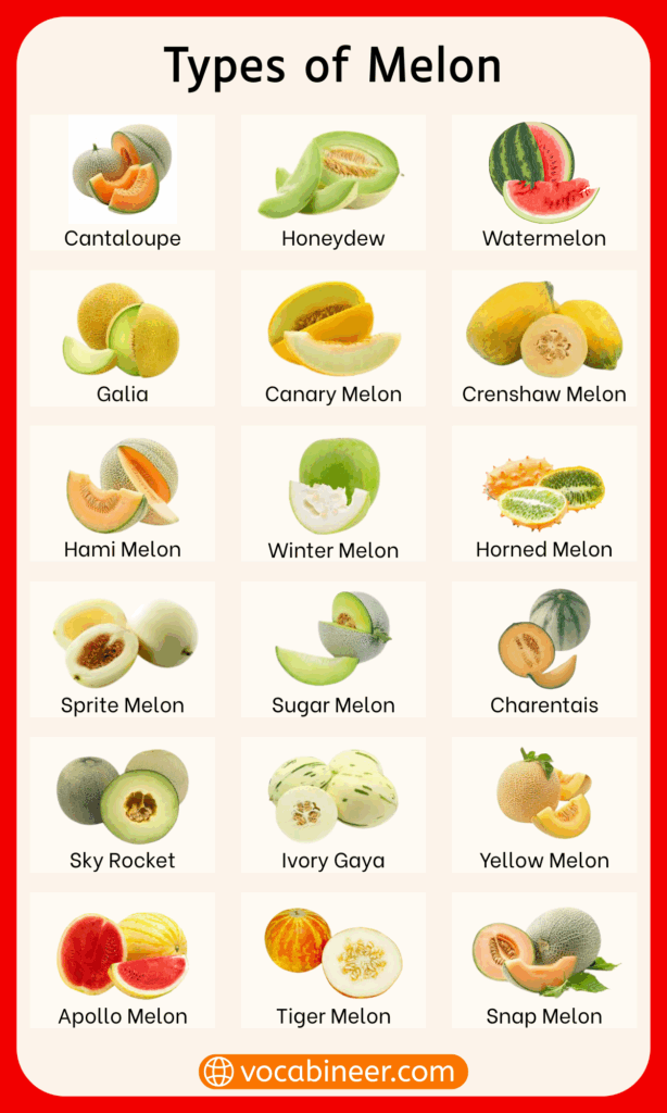 50+ Melons Varieties Names in English and their Photos