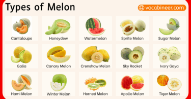 Different Types of Melons with Pictures