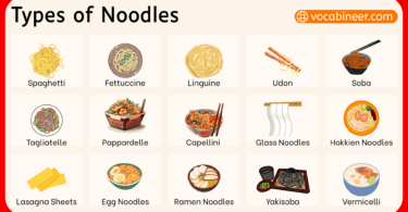 List of Different Types of Noodles and their Pictures