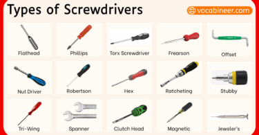 50 Types of Screwdrivers with Names and Pictures